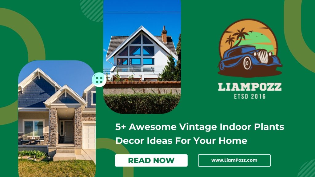 5+ Awesome Vintage Indoor Plants Decor Ideas For Your Home